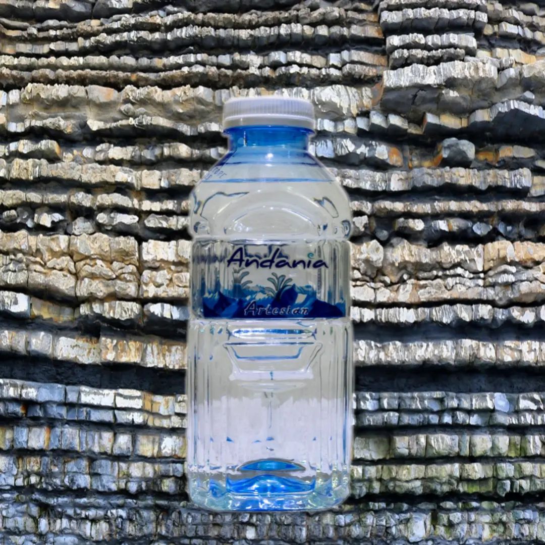 Andania Artesian Water bottle 330 ml
